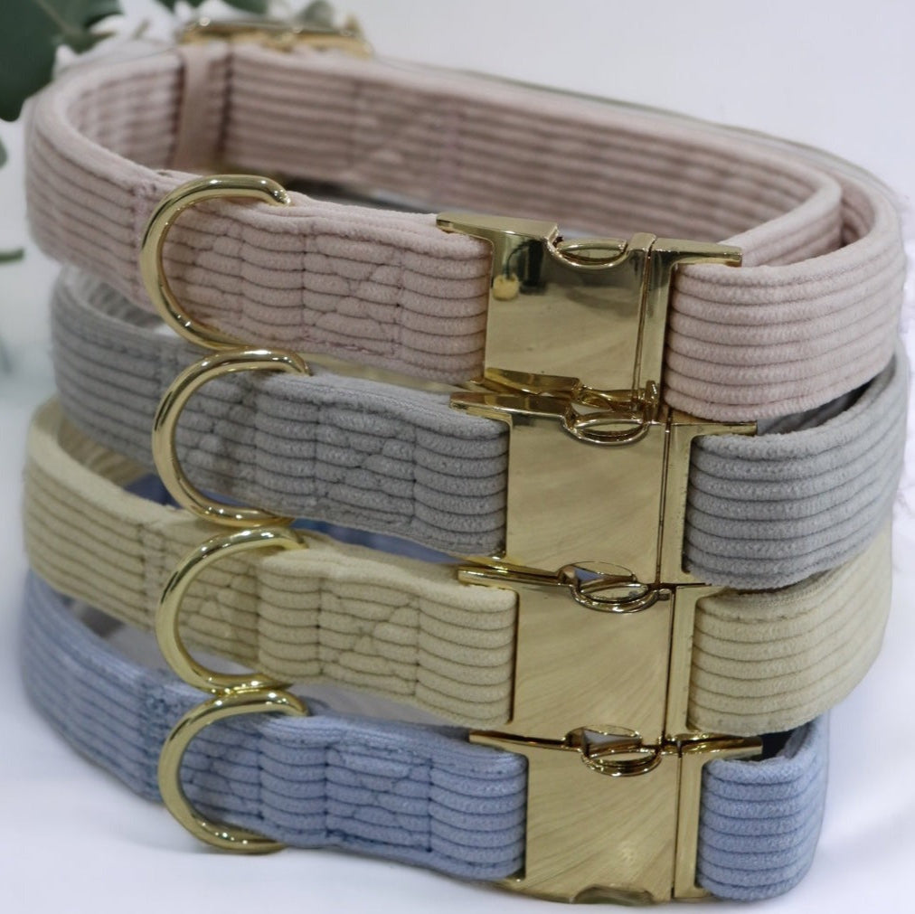 Corduroy Dog Collar