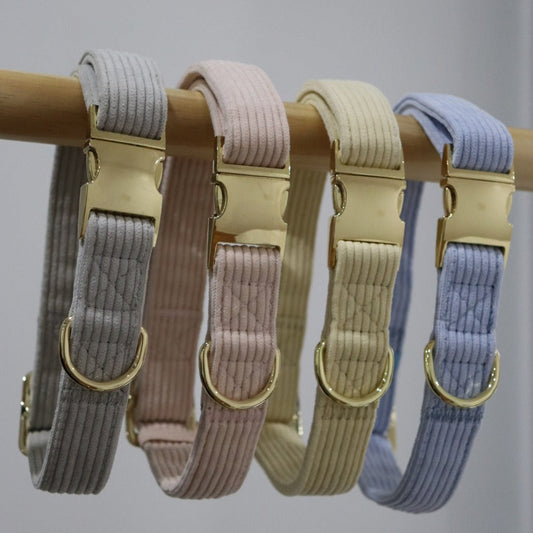 Corduroy Dog Collar